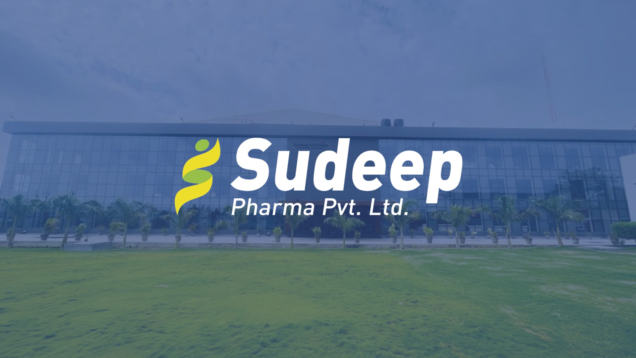 Sudeep Pharma Share Price